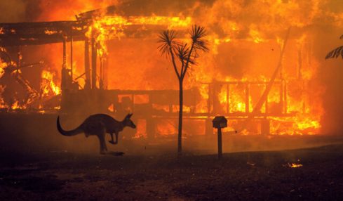 Incendi in Australia: il supporto delle grandi imprese