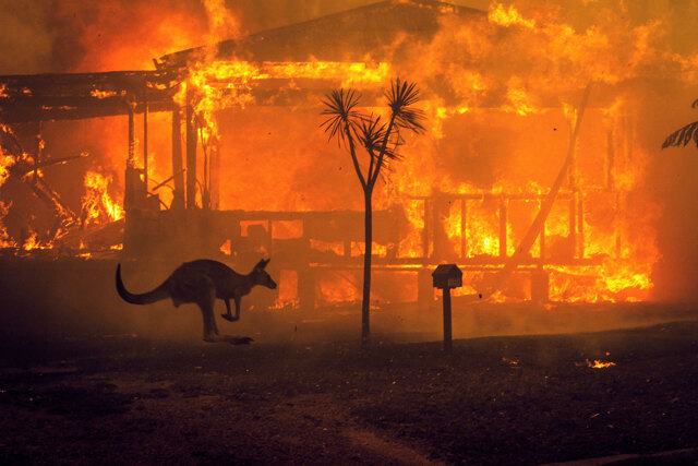 Incendi in Australia: il supporto delle grandi imprese