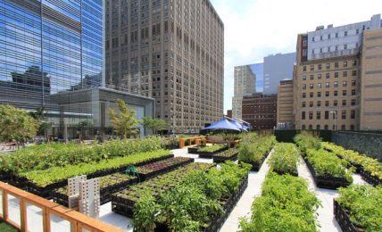 New York, al via la rivoluzione green per i grattacieli