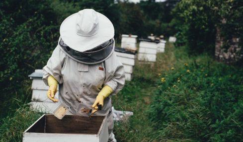 Come adottare un alveare con 3Bee, la start up che salva le api con l’IoT
