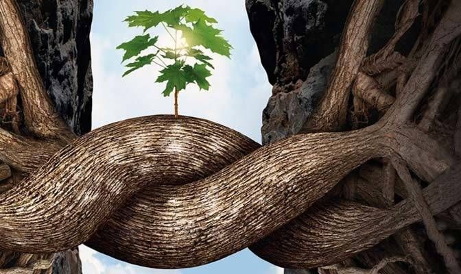 RETI DI RELAZIONI E CANALI DI COMUNICAZIONE: DALLA NATURA, UN MODELLO VINCENTE