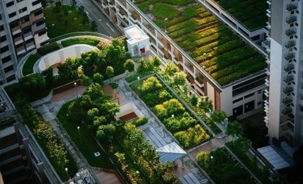 Ecosistemi vegetali per la rigenerazione ecologica delle città