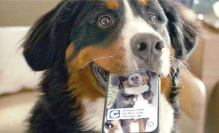 La riscoperta del cliente fedele, i nuovi costano cinque volte di più