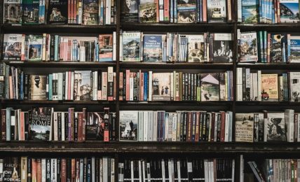 Così l’intelligenza artificiale voleva distruggere tutti i libri del mondo